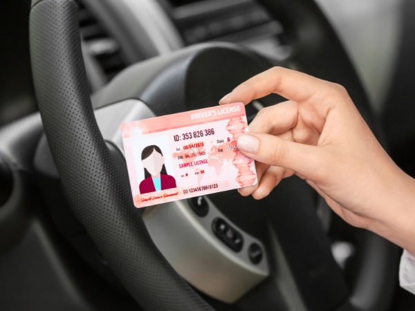 Sample Driver's License