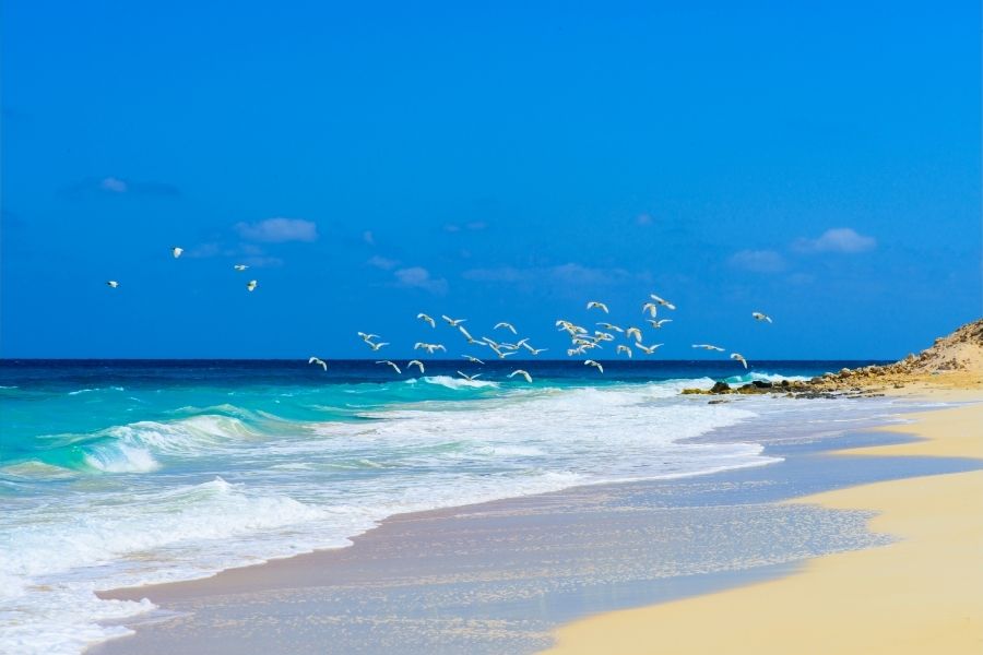 Exciting Family Adventures on Egypt’s North Coast Road Trip